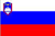 Flagge Slowakei